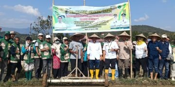 Percepatan Gerakan Tanam PM-AAS, Seluas 10 Hektare Digelar di Kelurahan Sepe’e Barru