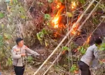 Kebakaran Lahan di Jalan Poros Pekkae-Soppeng, Polsek Tanete Riaja Imbau Pengguna Jalan Waspada