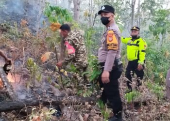 Kebakaran Lahan 20 Hektare di Barru, Polisi, TNI dan Warga Bergerak Padamkan Api