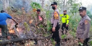 Kebakaran Lahan 20 Hektare di Barru, Polisi, TNI dan Warga Bergerak Padamkan Api