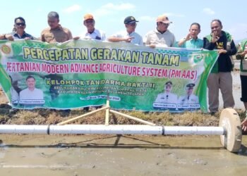 LTT Barru Capai 503 Hektare, Dirjen Hortikultura Apresiasi Dukungan Swasembada Pangan