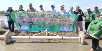 LTT Barru Capai 503 Hektare, Dirjen Hortikultura Apresiasi Dukungan Swasembada Pangan