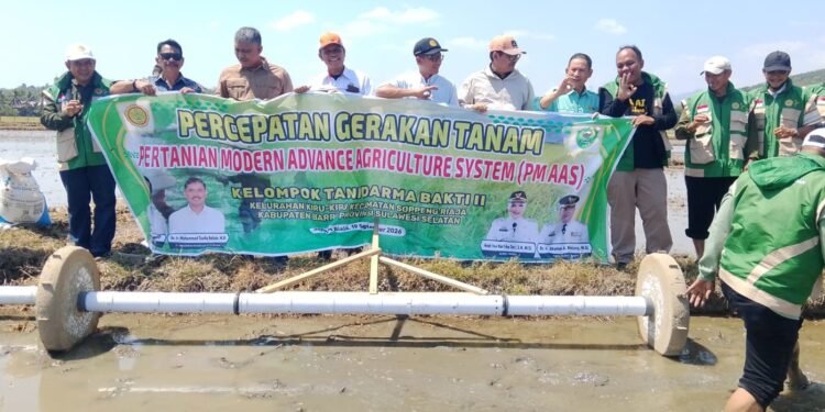 LTT Barru Capai 503 Hektare, Dirjen Hortikultura Apresiasi Dukungan Swasembada Pangan