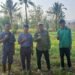 Kadis PTPHBUN Barru Monev Pertanaman Penangkar Faren Seed JJUH, Sekaligus Panen Bawang Merah di Nepo