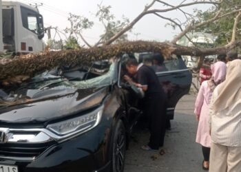 Wujud Pelayanan Polri, Bhabinkamtibmas Lawallu Bergerak Cepat Tangani Musibah Pohon Tumbang di Barru