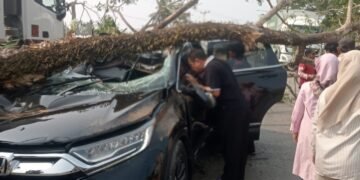 Wujud Pelayanan Polri, Bhabinkamtibmas Lawallu Bergerak Cepat Tangani Musibah Pohon Tumbang di Barru