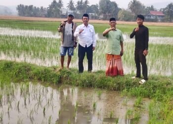 Kadis PTPHBUN Barru Tinjau Persiapan Brigade Pangan 2026, Demplot 1 Hektare Disiapkan di Setiap Wilayah Kerja